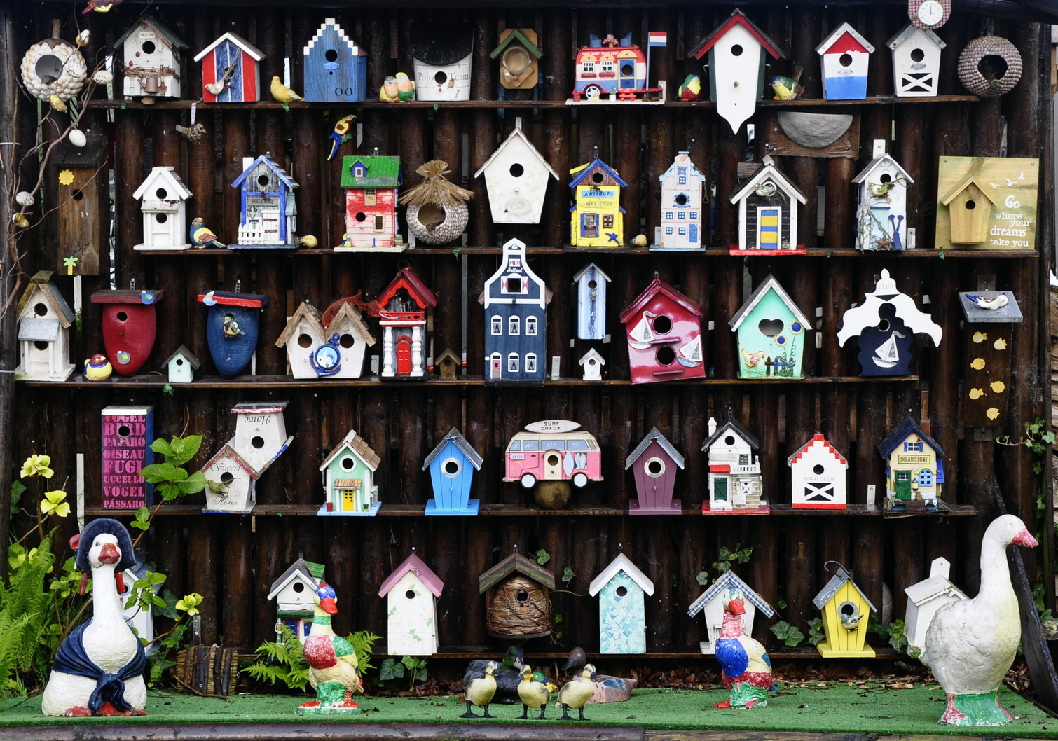 bird houses